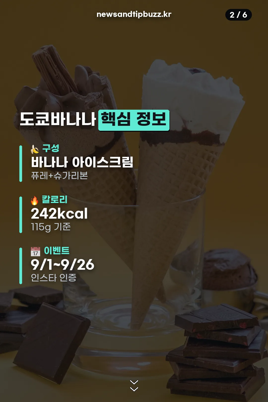 핵심 정보 요약