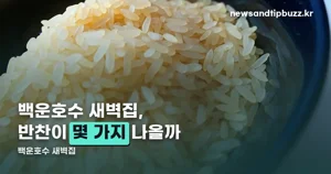 백운호수 새벽집, 솥밥 한상에 반찬 8종 — 붐비는 시간은 따로 있다