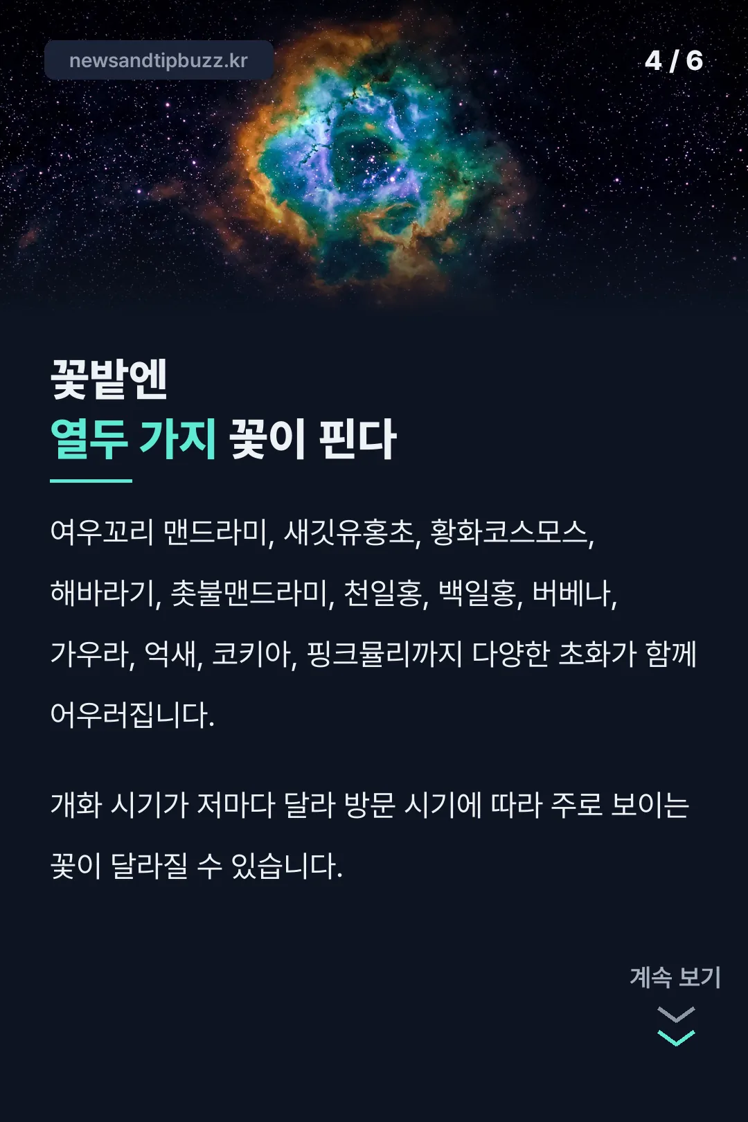 열두 가지 꽃 구성