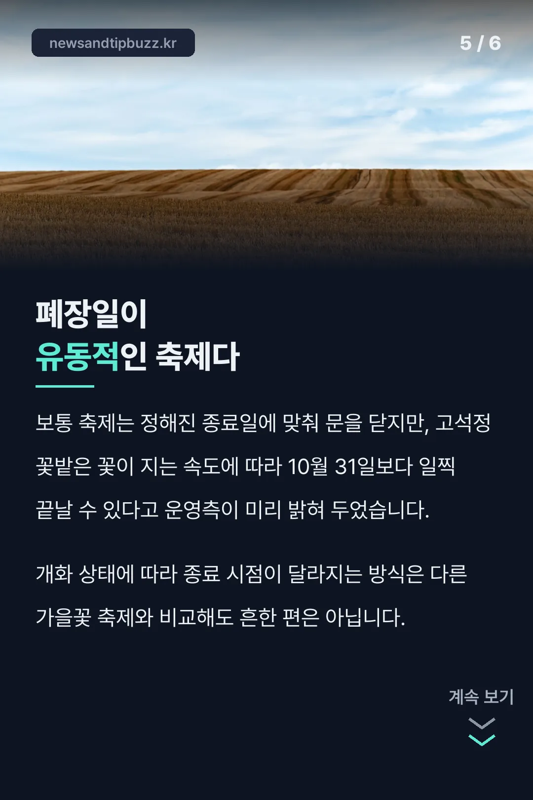 유동적인 폐장일
