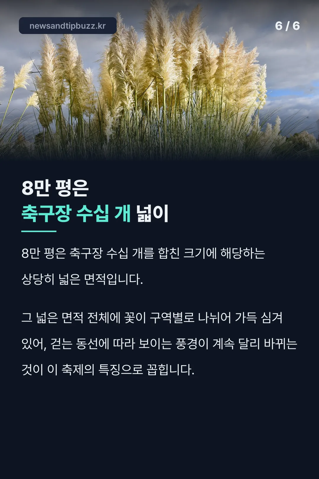 8만 평 규모 비교