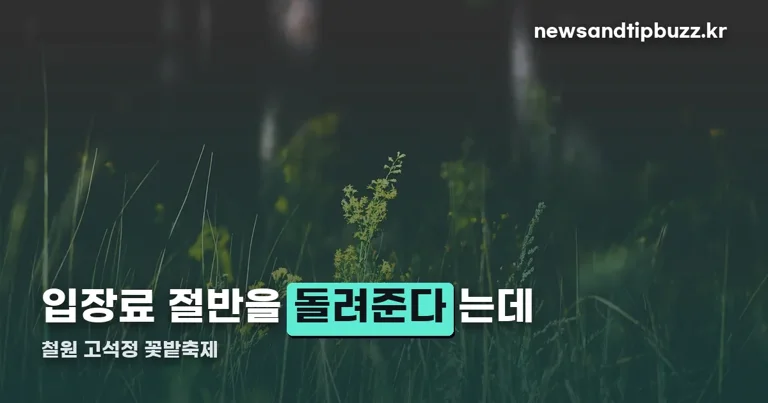 철원 고석정 꽃밭축제 정리 썸네일