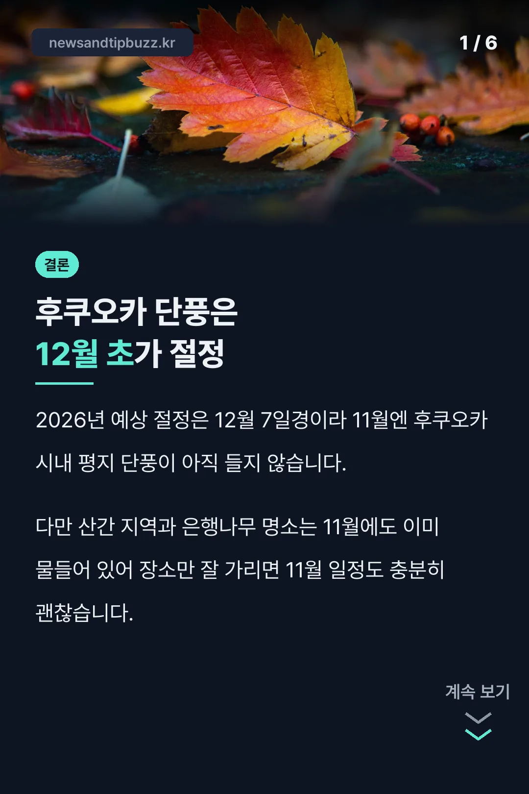 후쿠오카 단풍 결론