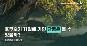 후쿠오카 11월 단풍, 2026년은 12월에야 절정입니다