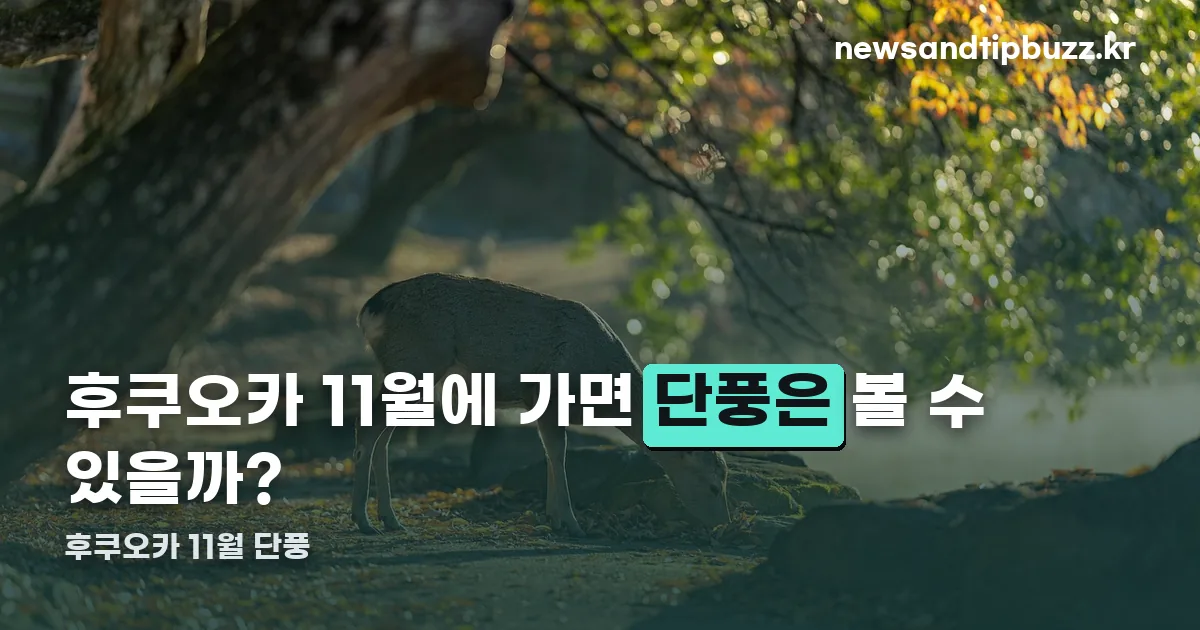 후쿠오카 11월 단풍 정리 썸네일