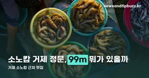 거제 소노캄 근처 맛집 — 99m 어부횟집부터 242m 전복마을까지