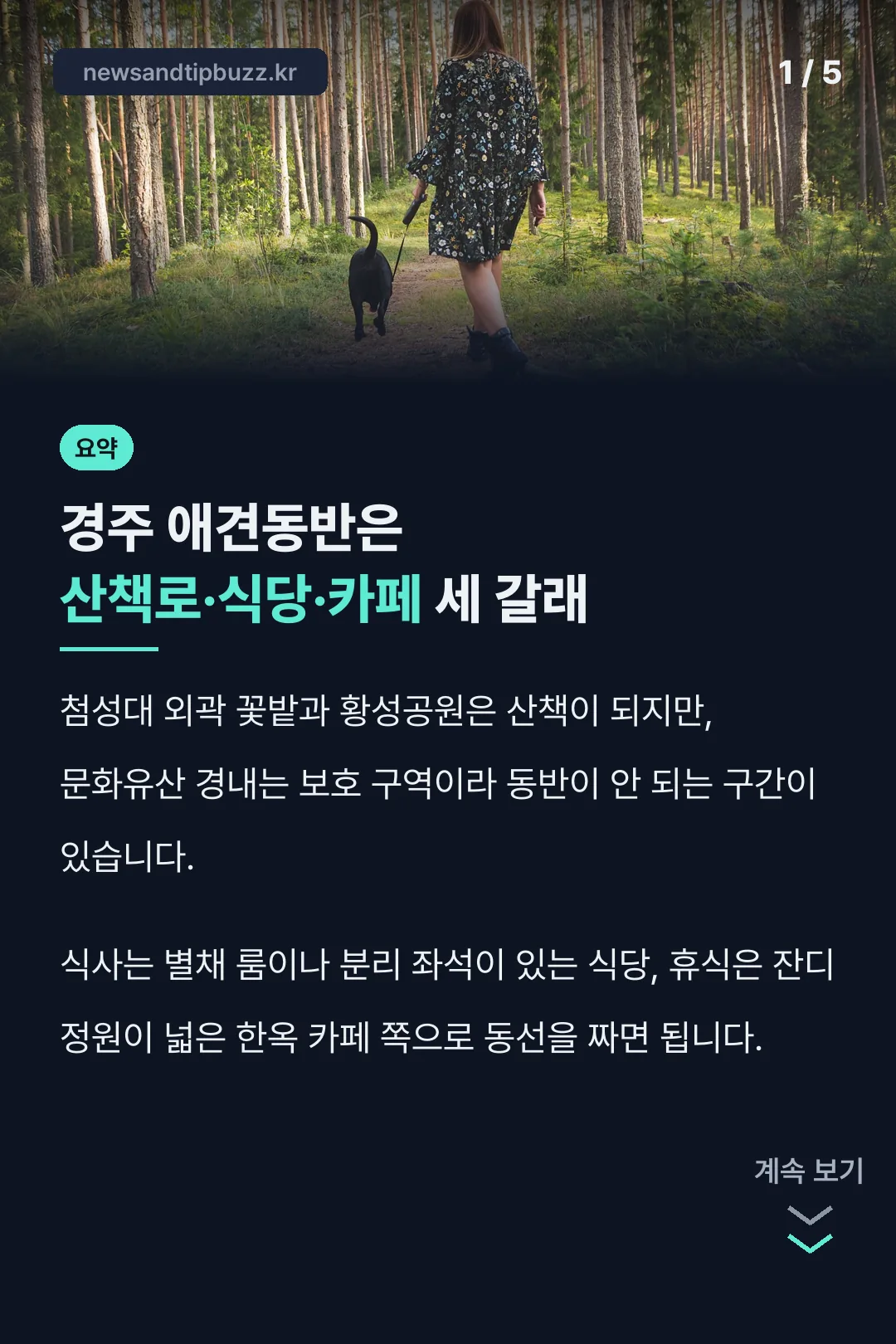 경주 애견동반 가볼만한곳 요약