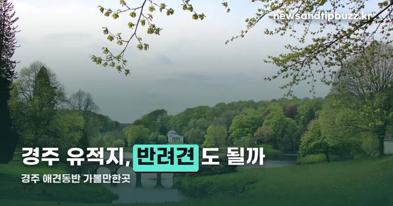 경주 애견동반 가볼만한곳 정리 썸네일