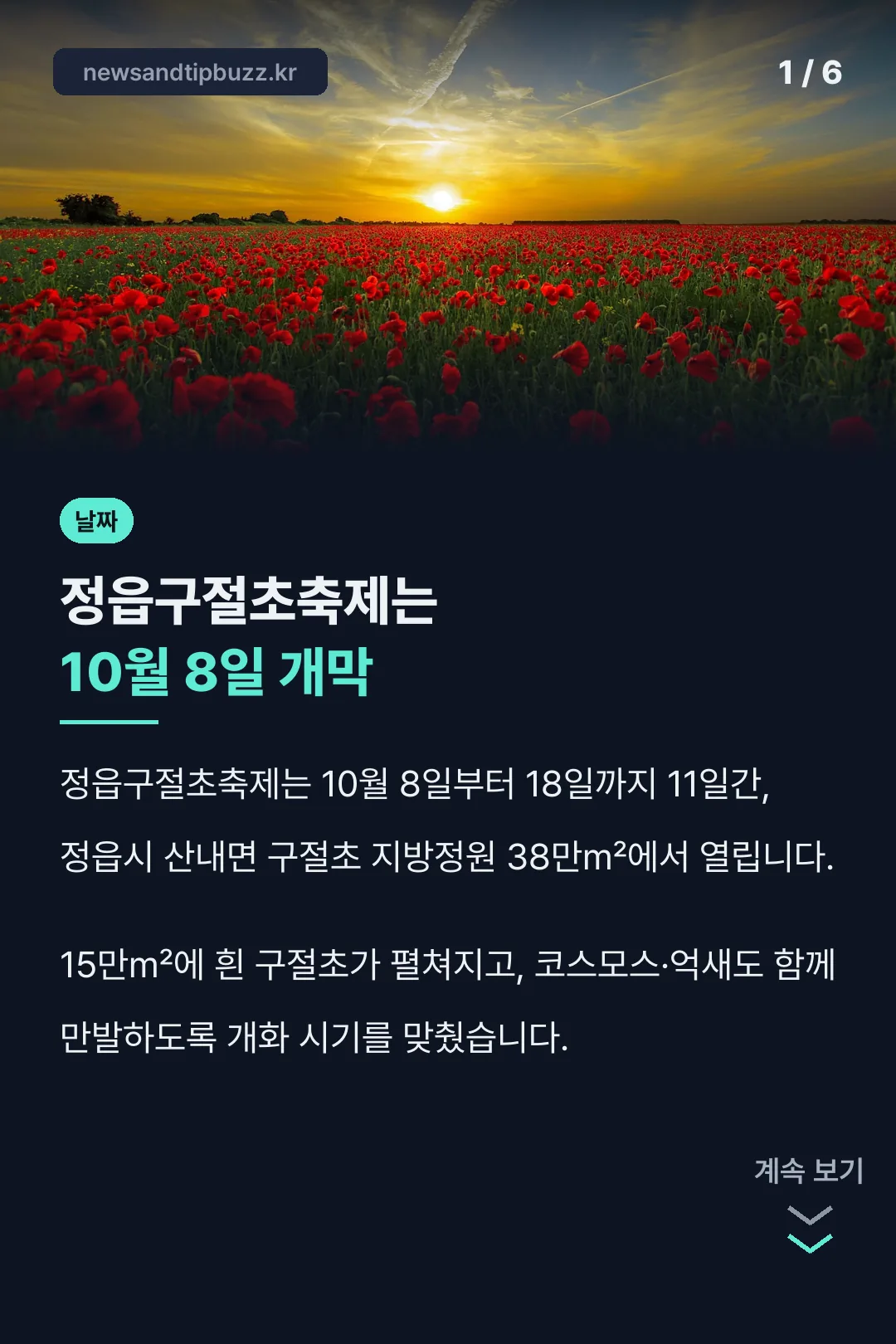정읍구절초축제 표지