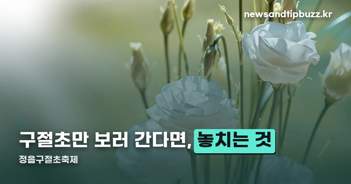 정읍구절초축제 정리 썸네일