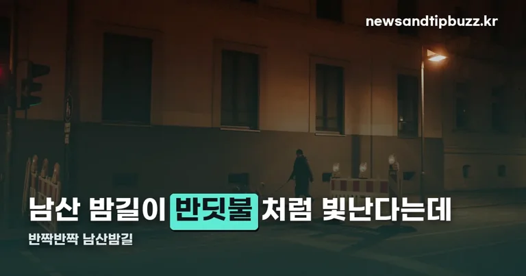남산 야간 트래킹 「반짝반짝 남산밤길」 정리 썸네일