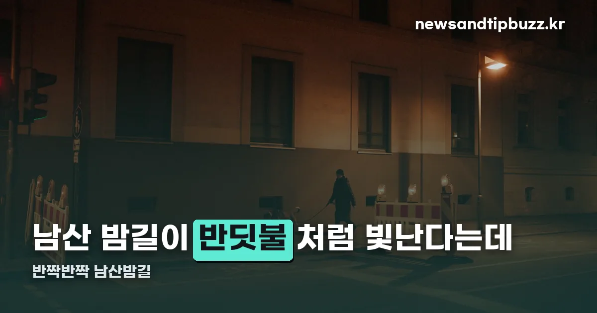 남산 야간 트래킹 「반짝반짝 남산밤길」 정리 썸네일