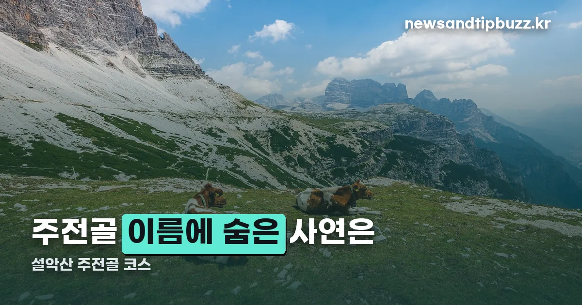 설악산 주전골 코스 정리 썸네일