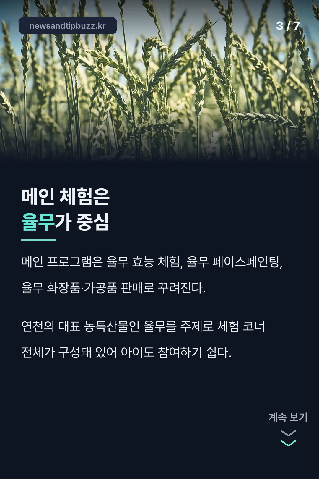 체험 프로그램 소개